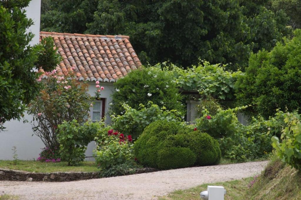 Quinta Da Saimeira Marvão Exterior foto